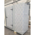 Customized agriculture freezer room cold storage